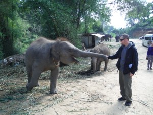 Hubby Hobo feeding the baby elephant at the rescue centre.
