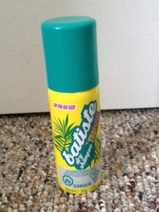 Dry Shampoo -  a shower in a bottle!