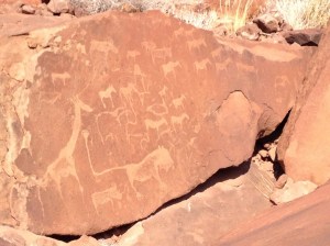The "chalkboard" to teach the younger generations about the animals