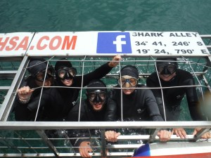 In the cage waiting for a shark.