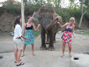 Can you tell I'm not an animal person?