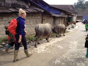 Strolling through a Sapa village.